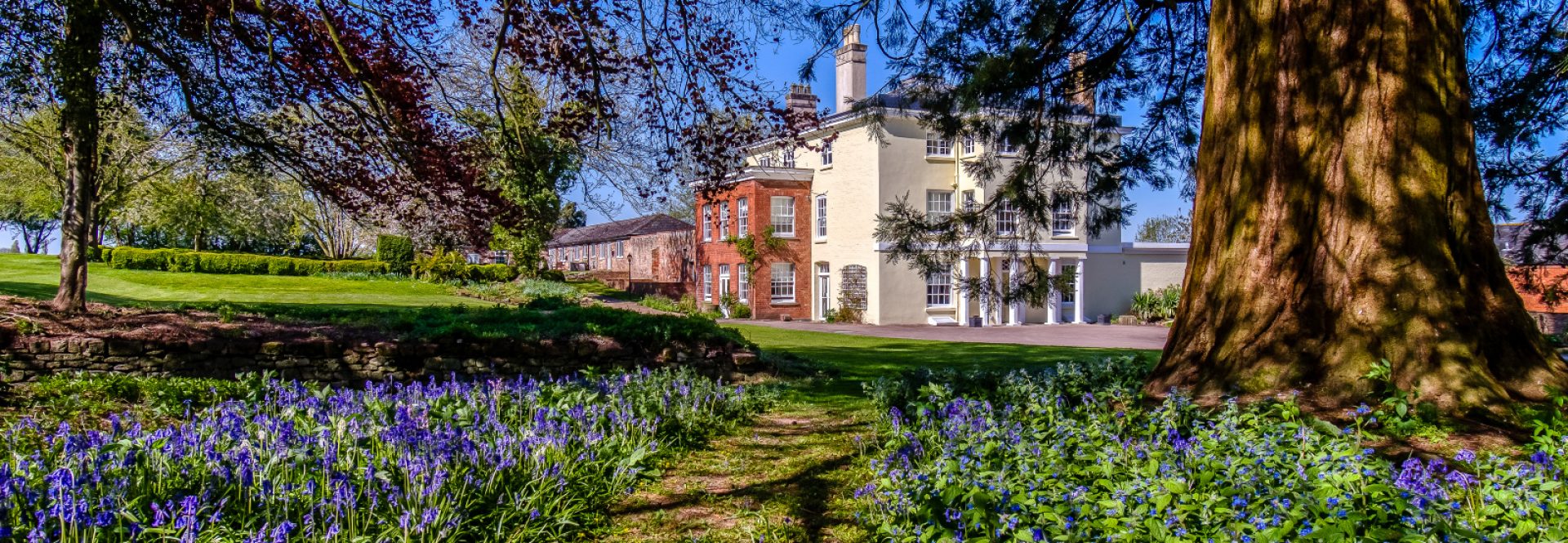 Hill Ash Care Home